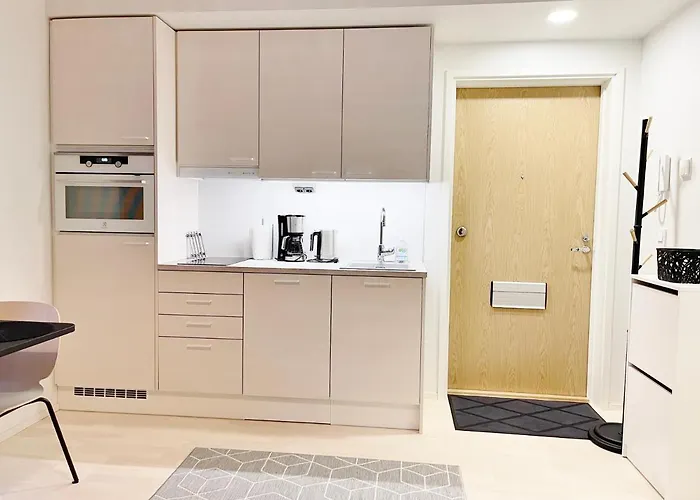 Haalia Homes Paeaeskynpesae Appartamento Turku