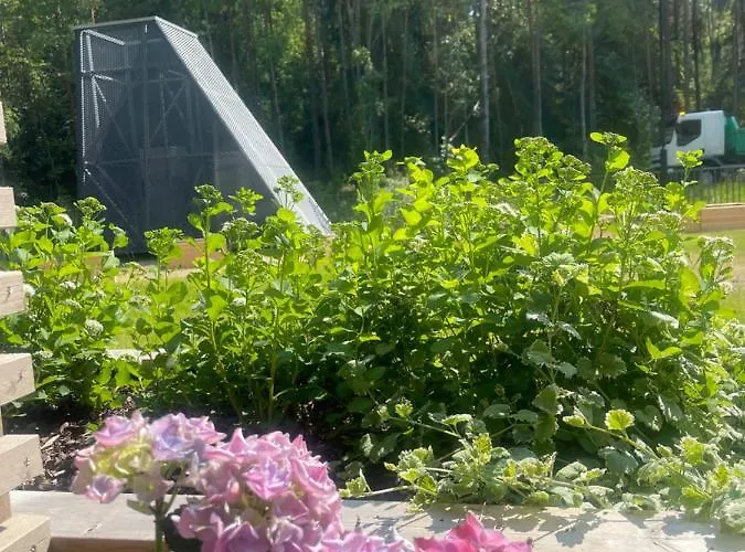 Haalia Homes Paeaeskynpesae *